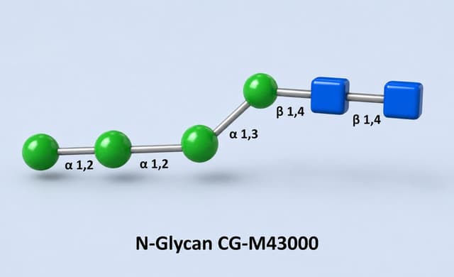 Glycoscience product image 8