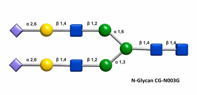 Glycoscience product image 15