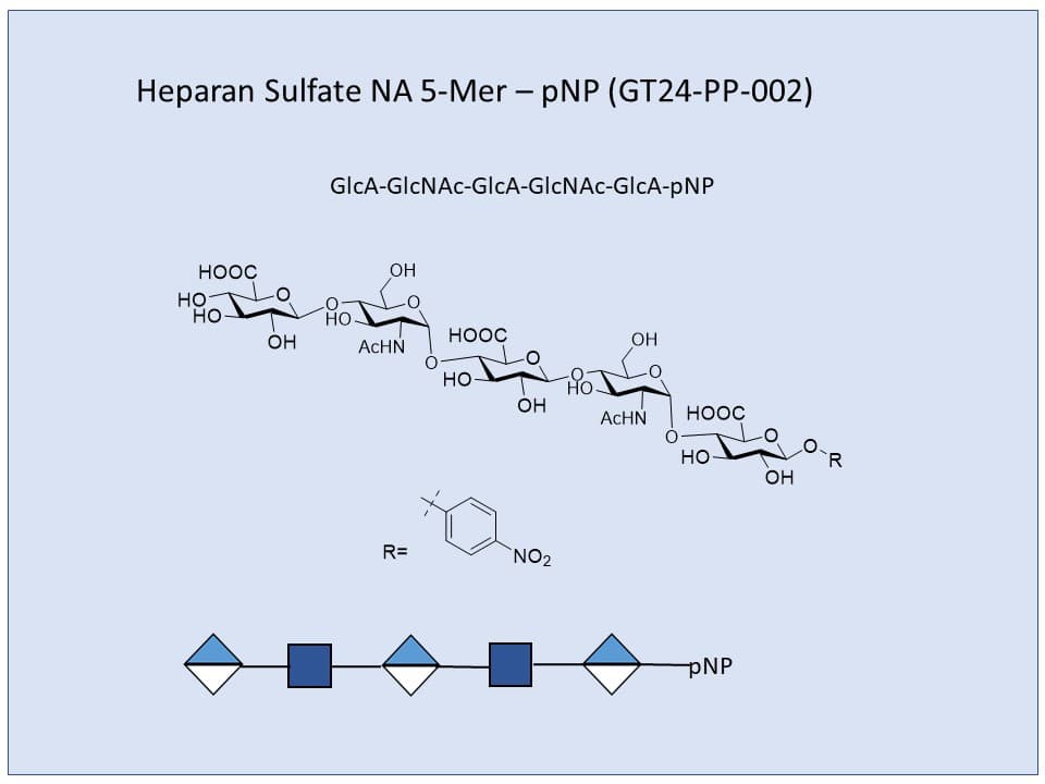 Heparan Sulfate NA 5-Mer