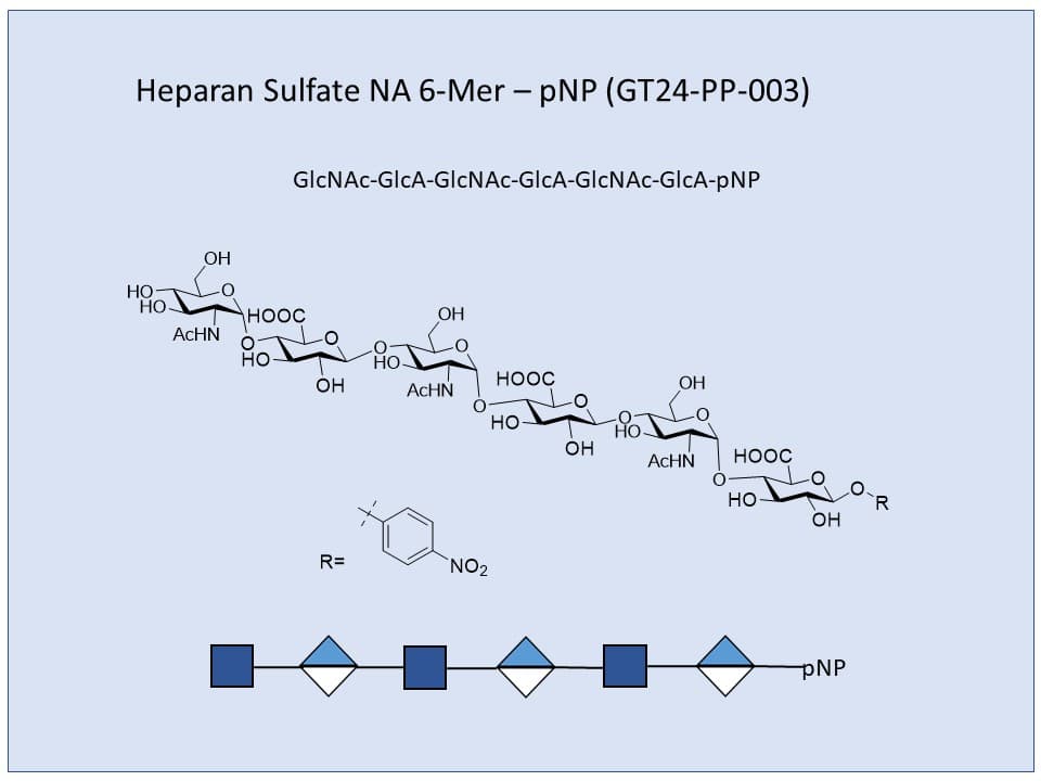 Heparan Sulfate NA 6-Mer