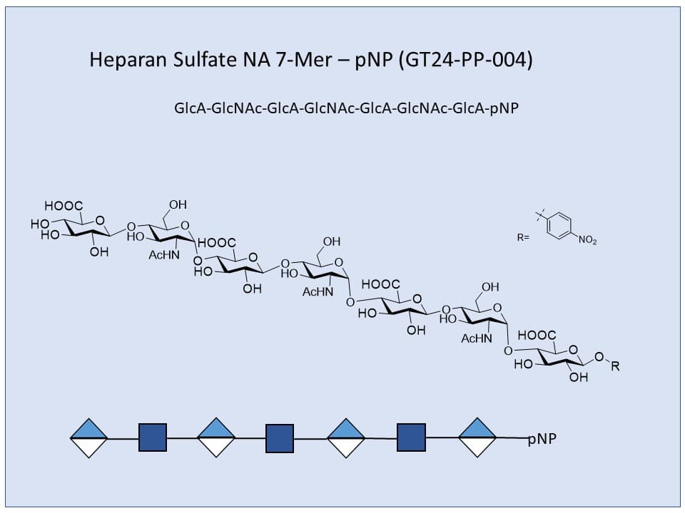 Heparan Sulfate NA 7-Mer