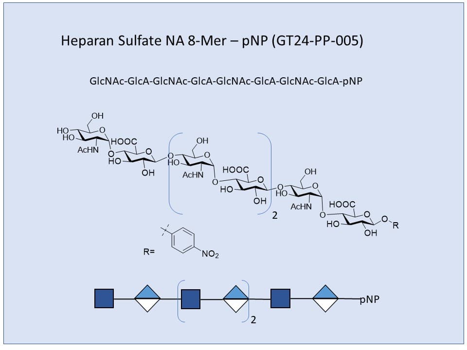 Heparan Sulfate NA 8-Mer