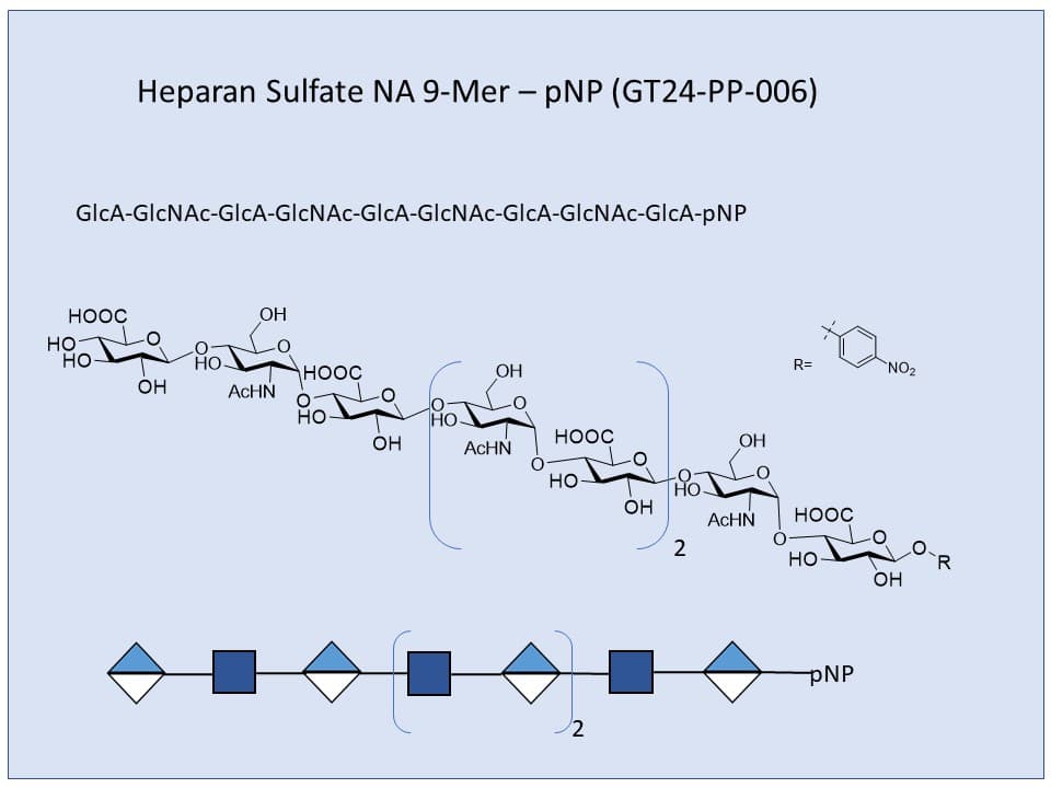 Heparan Sulfate NA 9-Mer