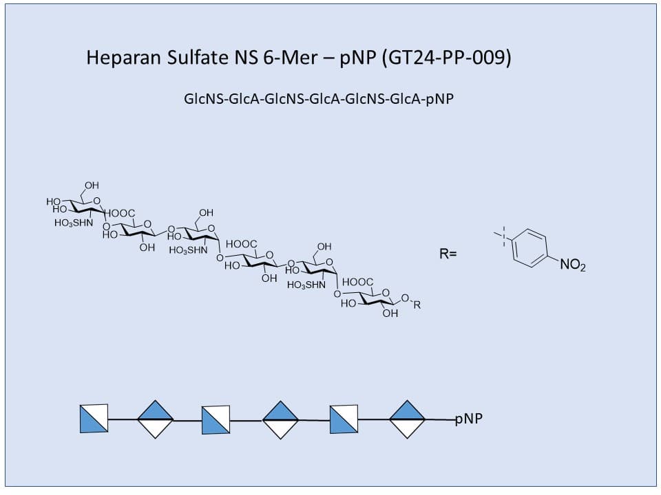 Heparan Sulfate NS 6-Mer