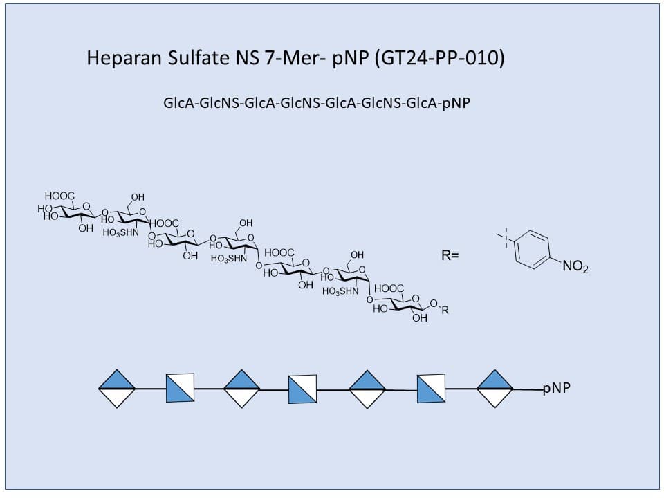 Heparan Sulfate NS 7-Mer