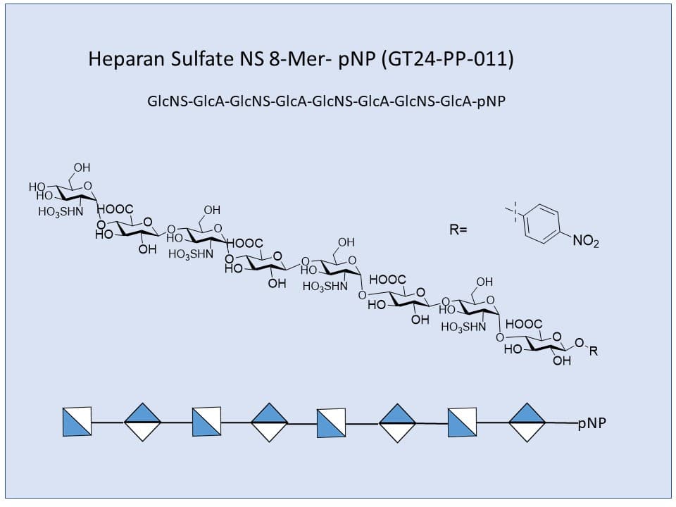 Heparan Sulfate NS 8-Mer
