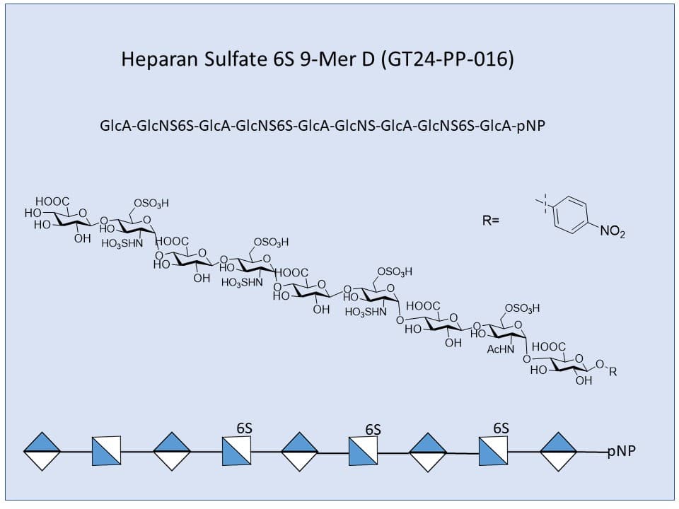 Heparan Sulfate 6S 9-Mer D