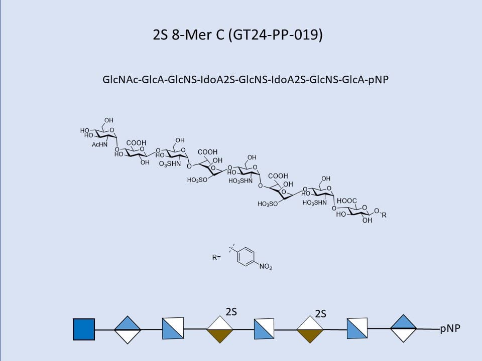 Heparan Sulfate 2S 8-Mer C