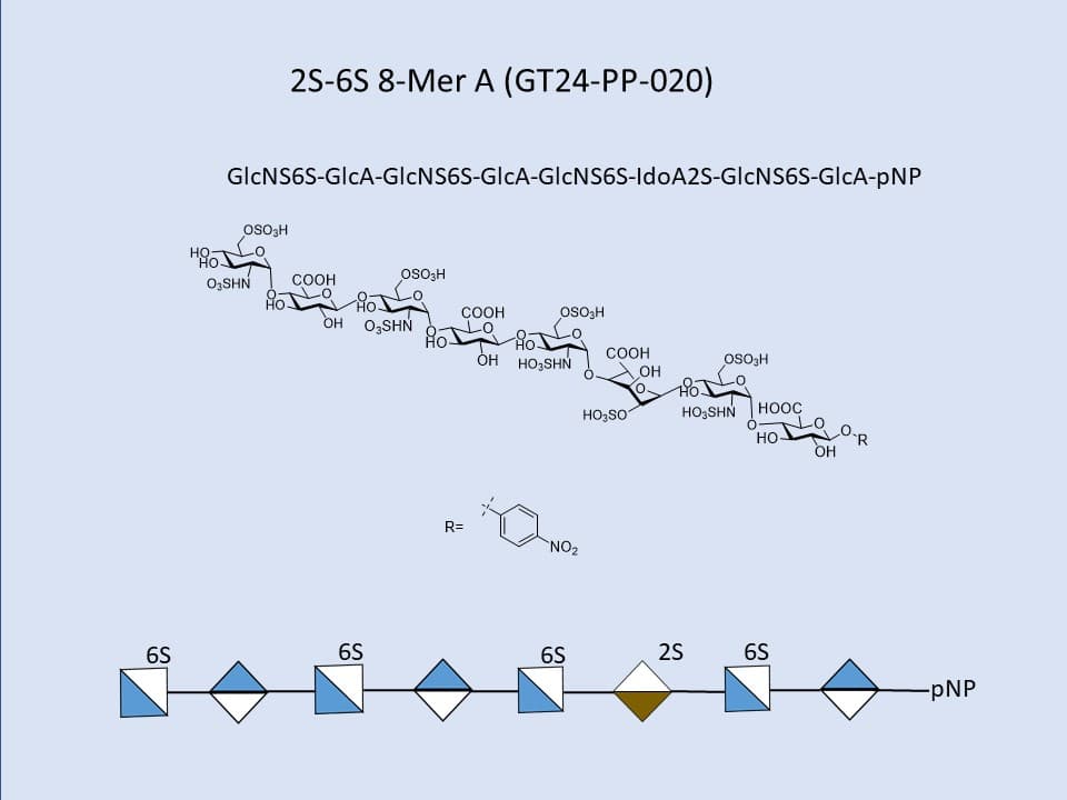 Heparan Sulfate 2S-6S 8-Mer A