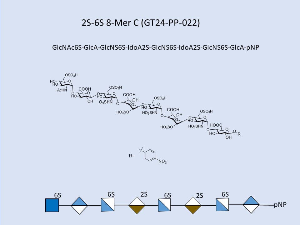 Heparan Sulfate 2S-6S 8-Mer C