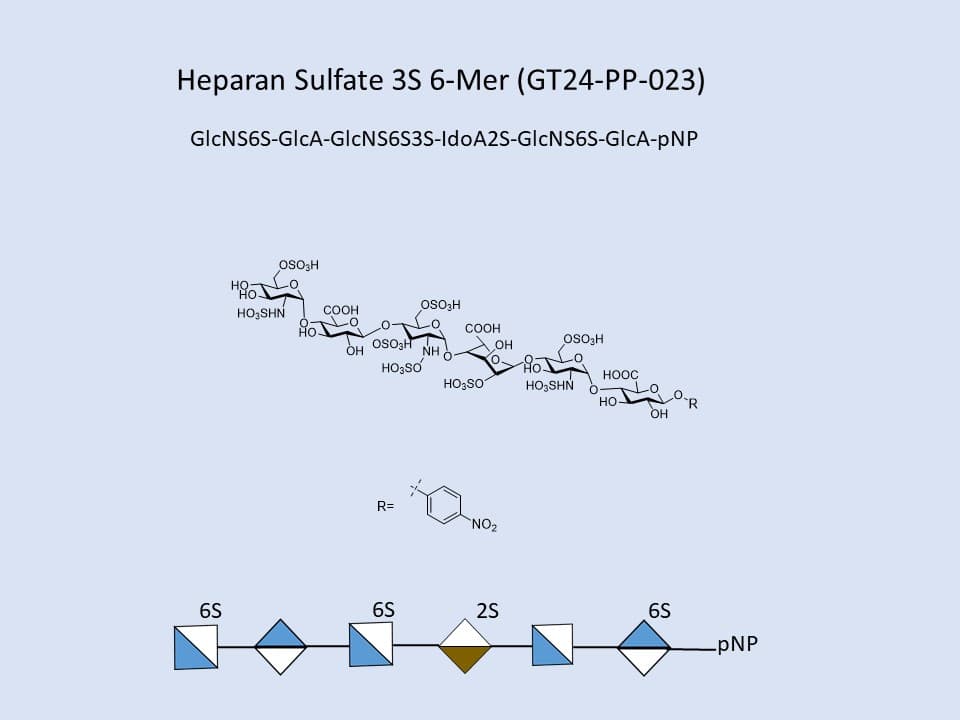 Heparan Sulfate 3S 6-Mer