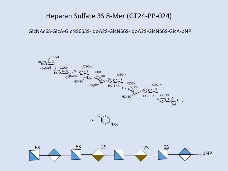 Heparan Sulfate 3S 8-Mer