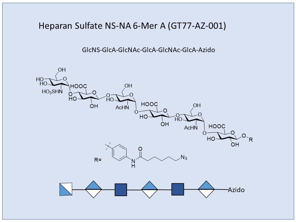 Heparan Sulfate NS-NA 6-Mer A