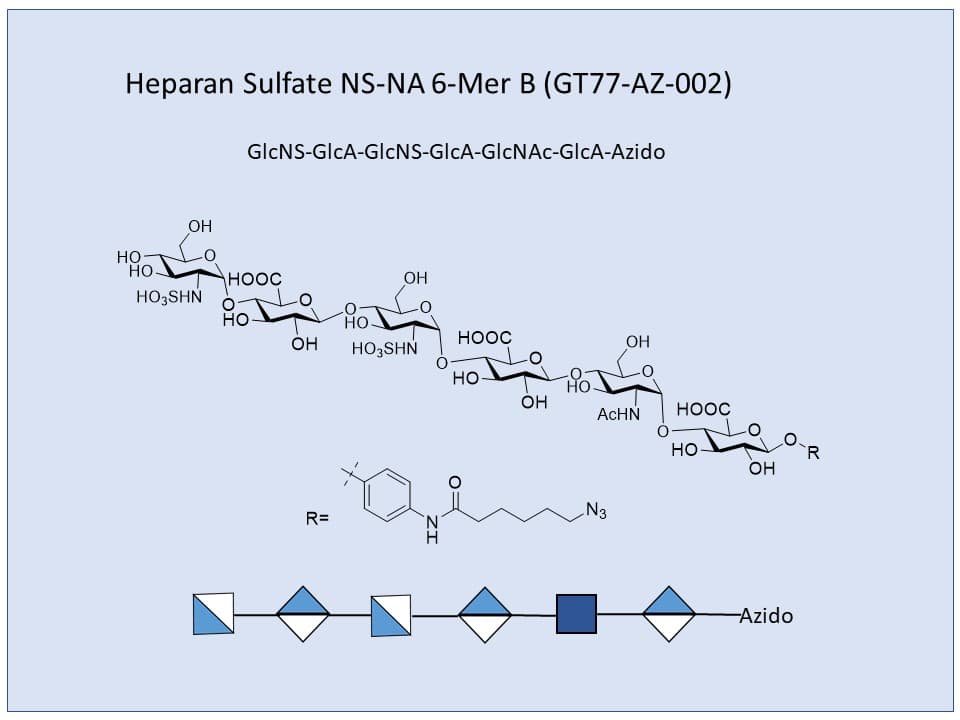 Heparan Sulfate NS-NA 6-Mer B