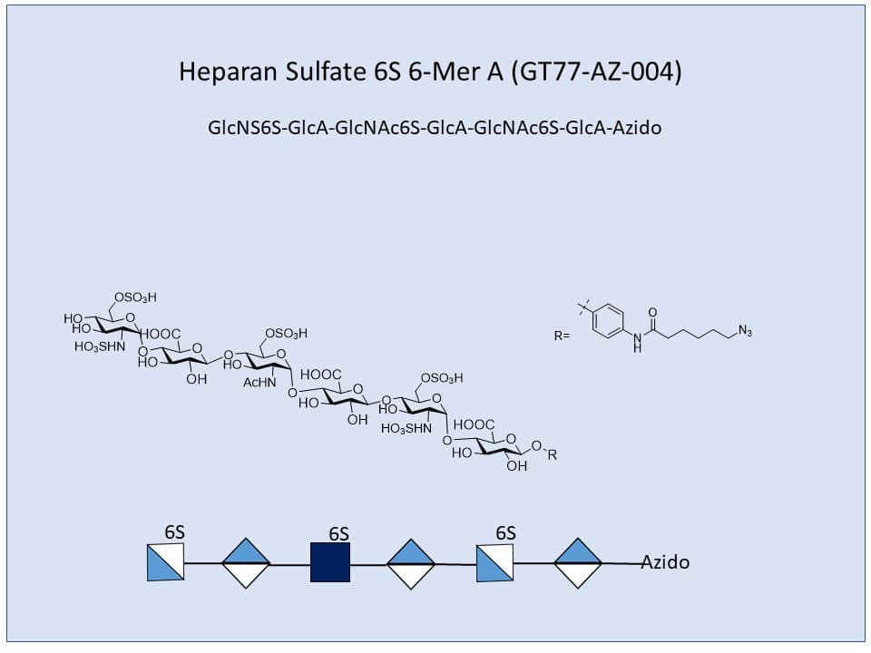 Heparan Sulfate 6S 6-Mer A