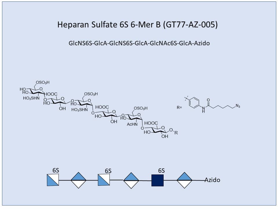 Heparan Sulfate 6S 6-Mer B
