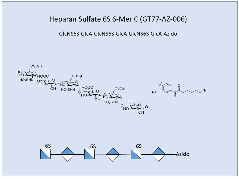 Heparan Sulfate 6S 6-Mer C