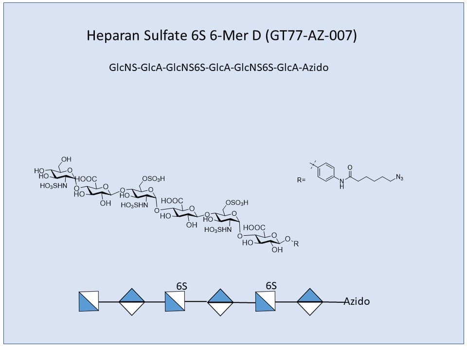 Heparan Sulfate 6S 6-Mer D