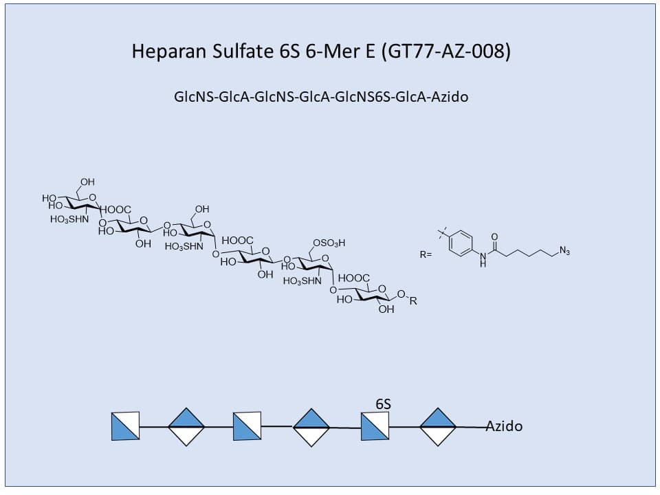 Heparan Sulfate 6S 6-Mer E