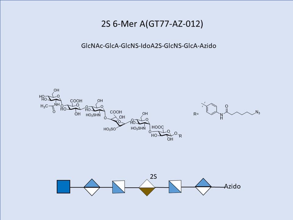 Heparan Sulfate 2S 6-Mer A
