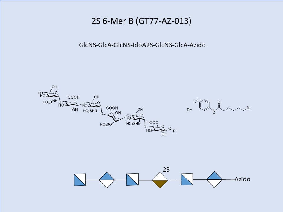 Heparan Sulfate 2S 6-Mer B