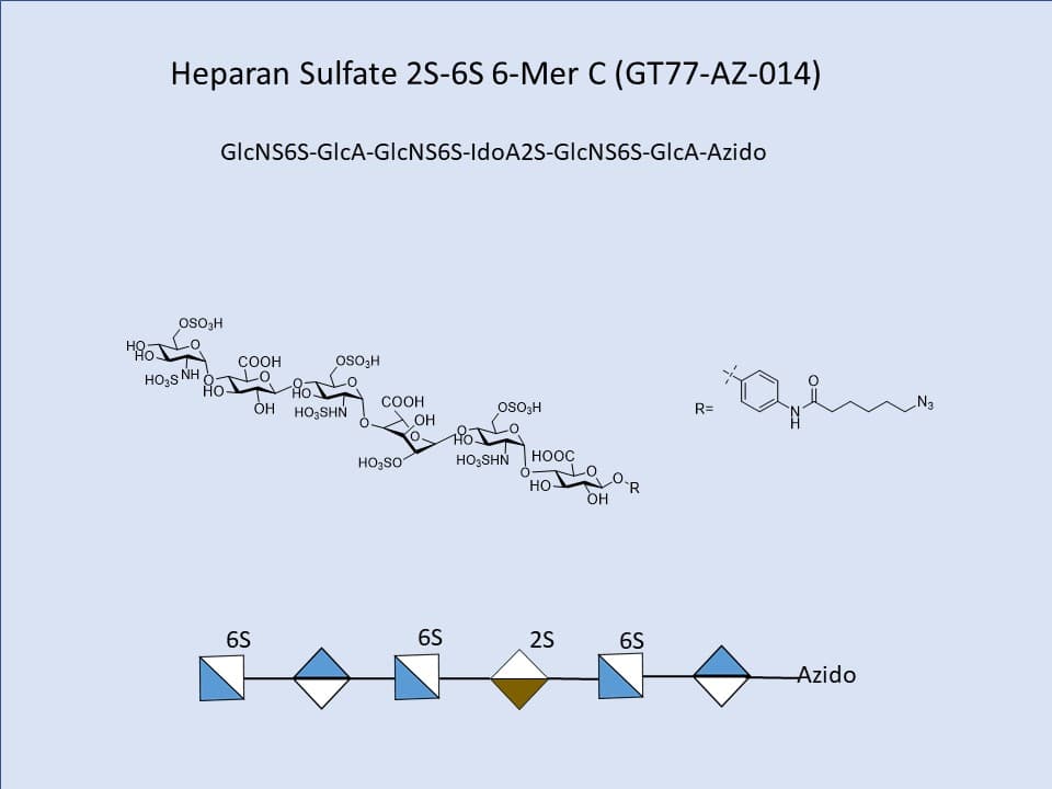 Heparan Sulfate 2S-6S 6-Mer C