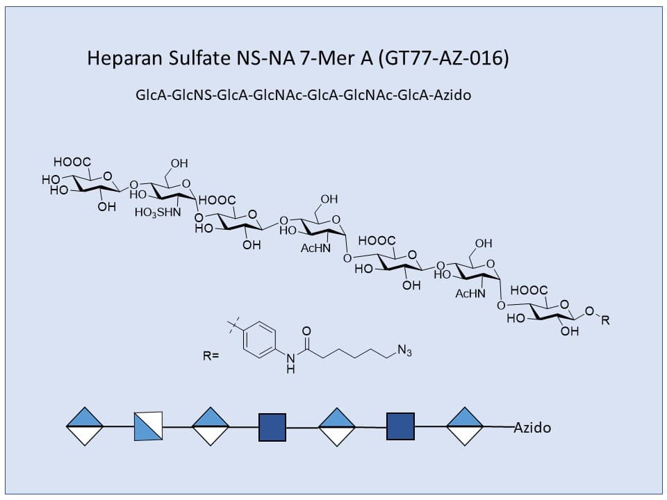Heparan Sulfate NS-NA 7-Mer A