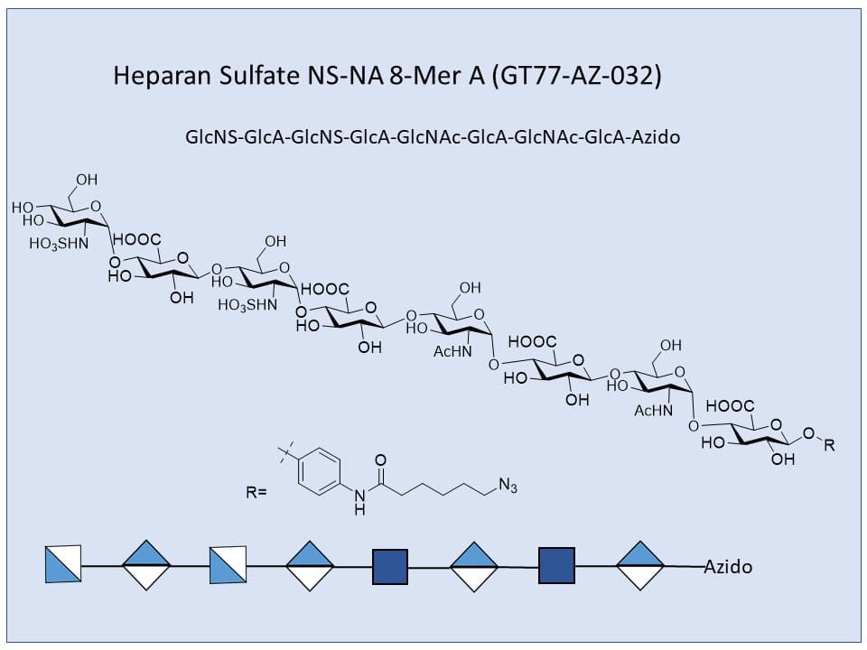 Heparan Sulfate NS-NA 8-Mer A