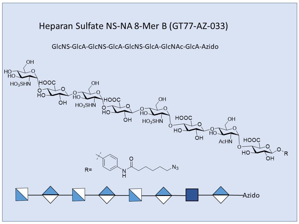 Heparan Sulfate NS-NA 8-Mer B