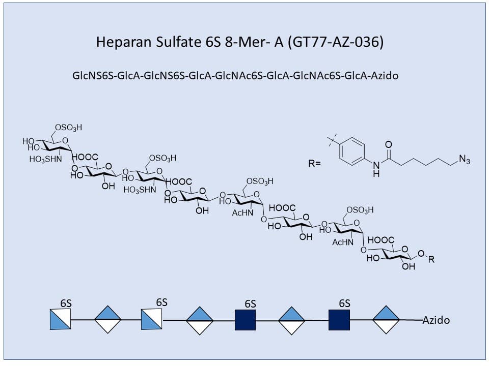Heparan Sulfate 6S 8-Mer A