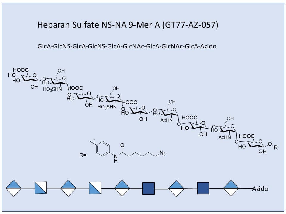 Heparan Sulfate NS-NA 9-Mer A
