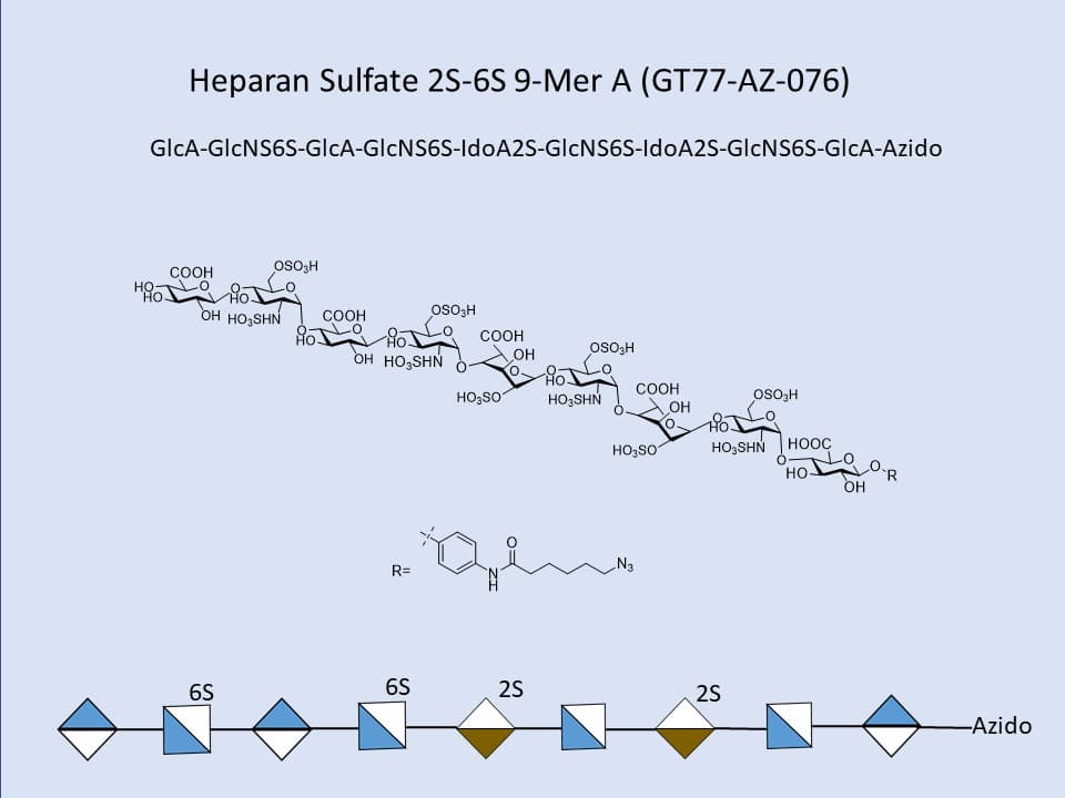 Heparan Sulfate 2S-6S 9-Mer A
