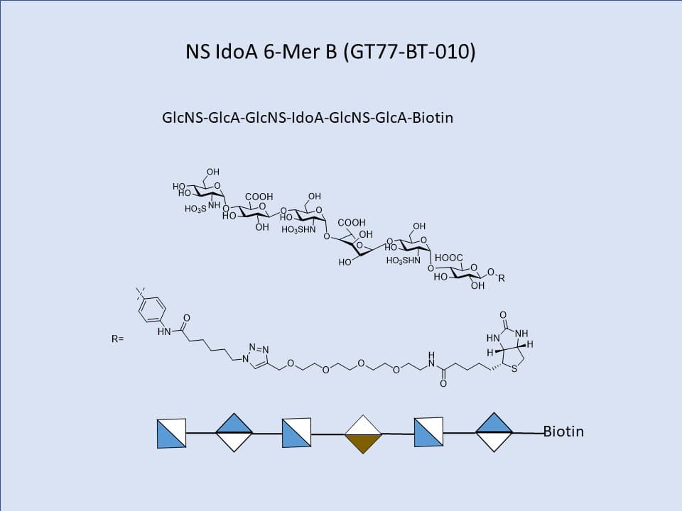Heparan Sulfate NS IdoA 6-Mer Bio