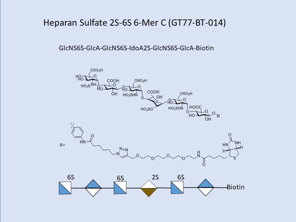 Heparan Sulfate 2S-6S 6-Mer C Bio