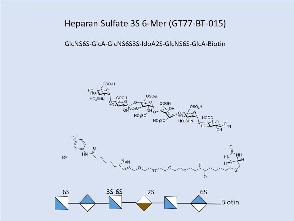 Heparan Sulfate 2S-6S-3S 6-Mer Bio