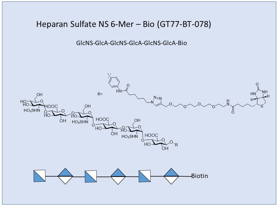 Heparan Sulfate NS 6-Mer Bio