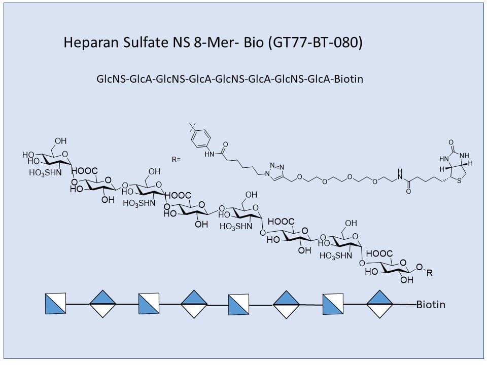 Heparan Sulfate NS 8-Mer Bio