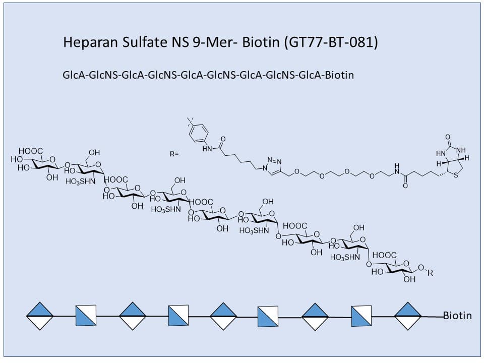 Heparan Sulfate NS 9-Mer Bio