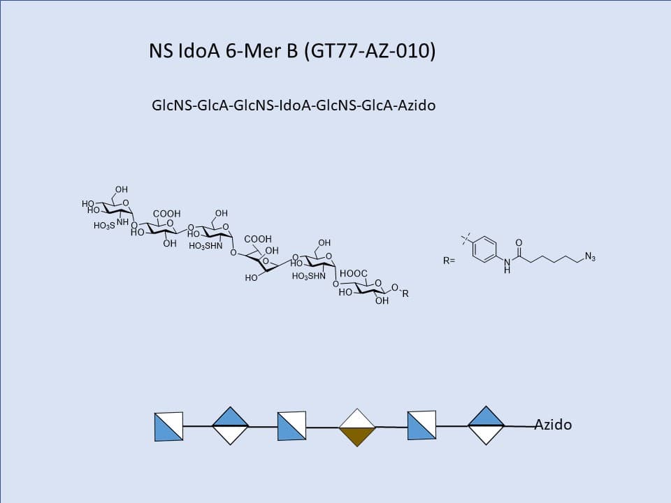 Heparan Sulfate NS IdoA 6-Mer B