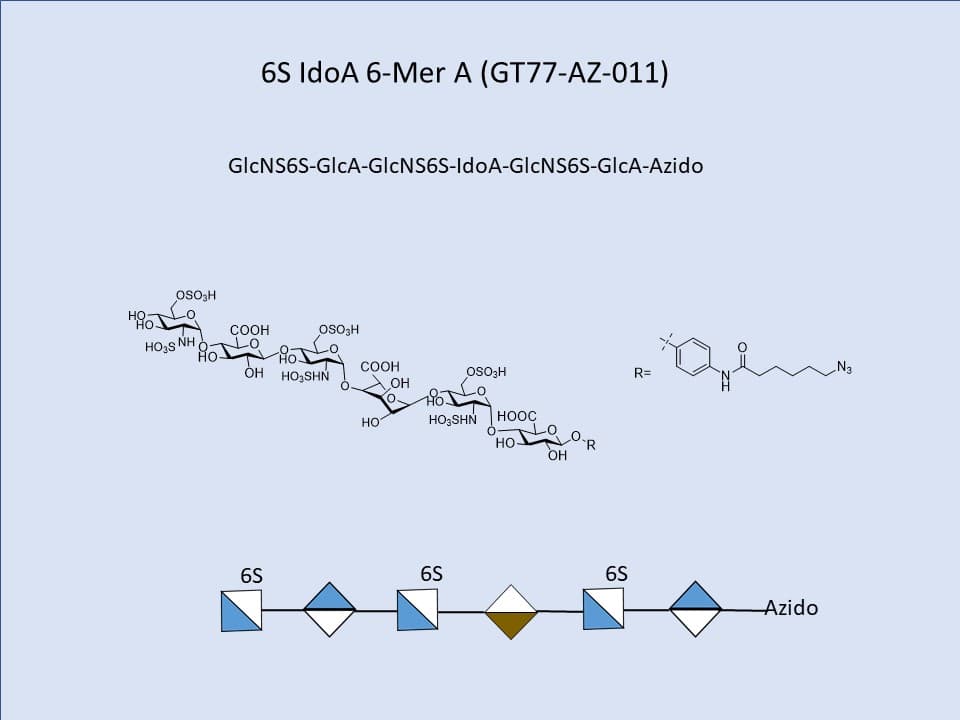 Heparan Sulfate 6S IdoA 6-Mer A