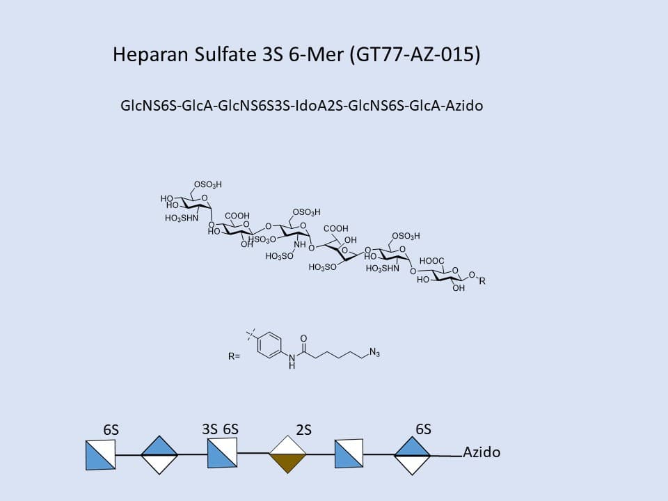 Heparan Sulfate 3S 6-Mer