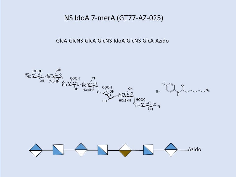 Heparan Sulfate NS IdoA 7-Mer A