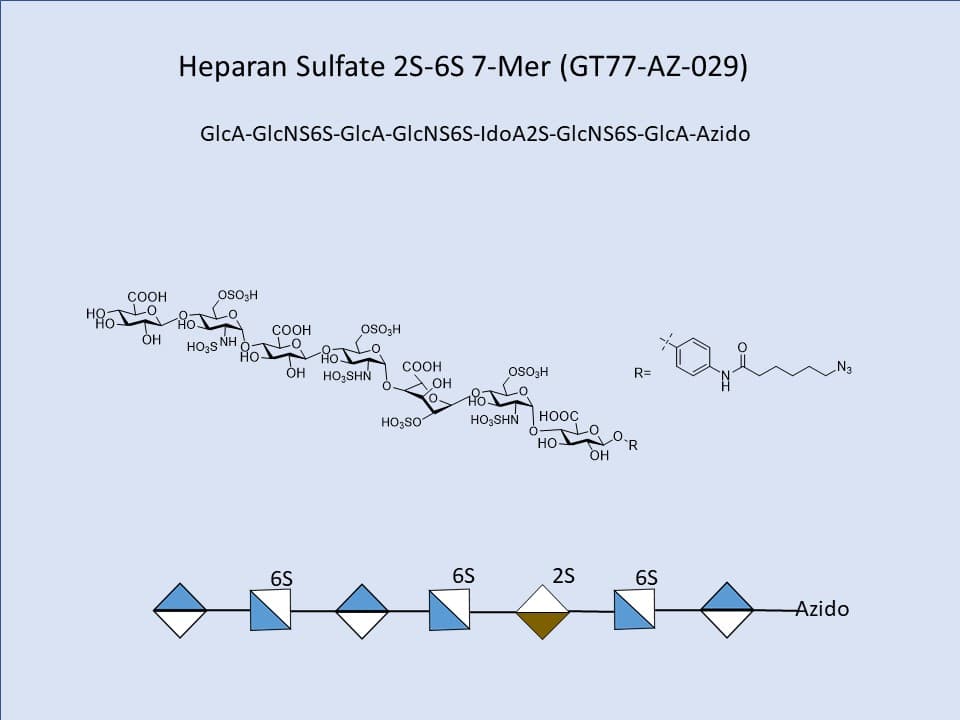 Heparan Sulfate 2S-6S 7-Mer