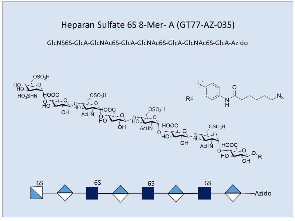 Heparan Sulfate 6S 8-Mer A