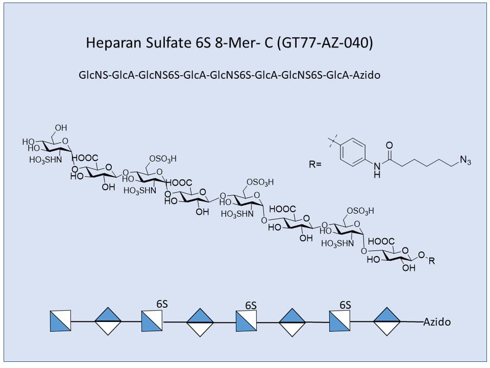 Heparan Sulfate 6S 8-Mer C