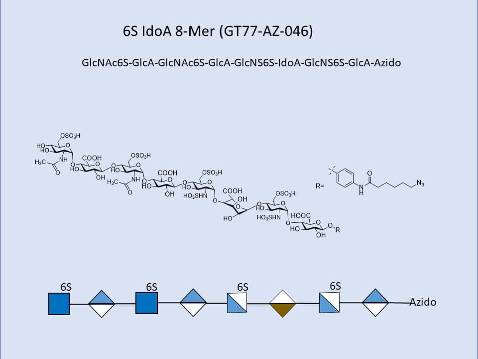 Heparan Sulfate 6S IdoA 8-Mer