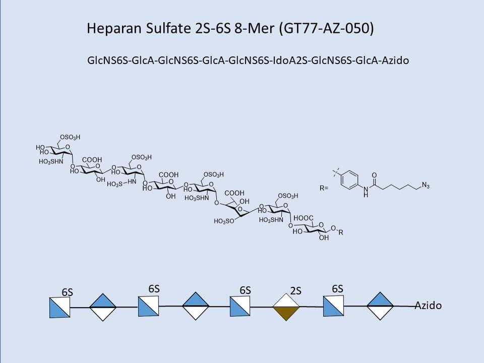 Heparan Sulfate 2S-6S 8-Mer