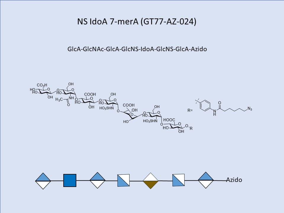 Heparan Sulfate NS IdoA 7-mer
