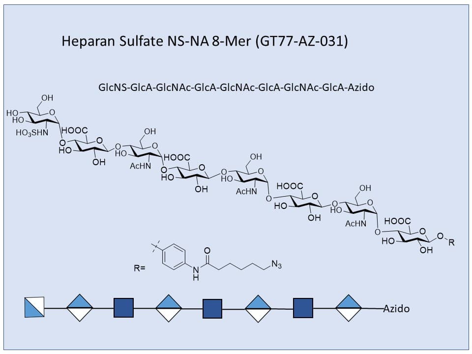 Heparan Sulfate NS-NA 8-mer