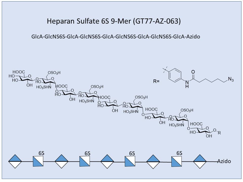 Heparan Sulfate 6S 9-mer